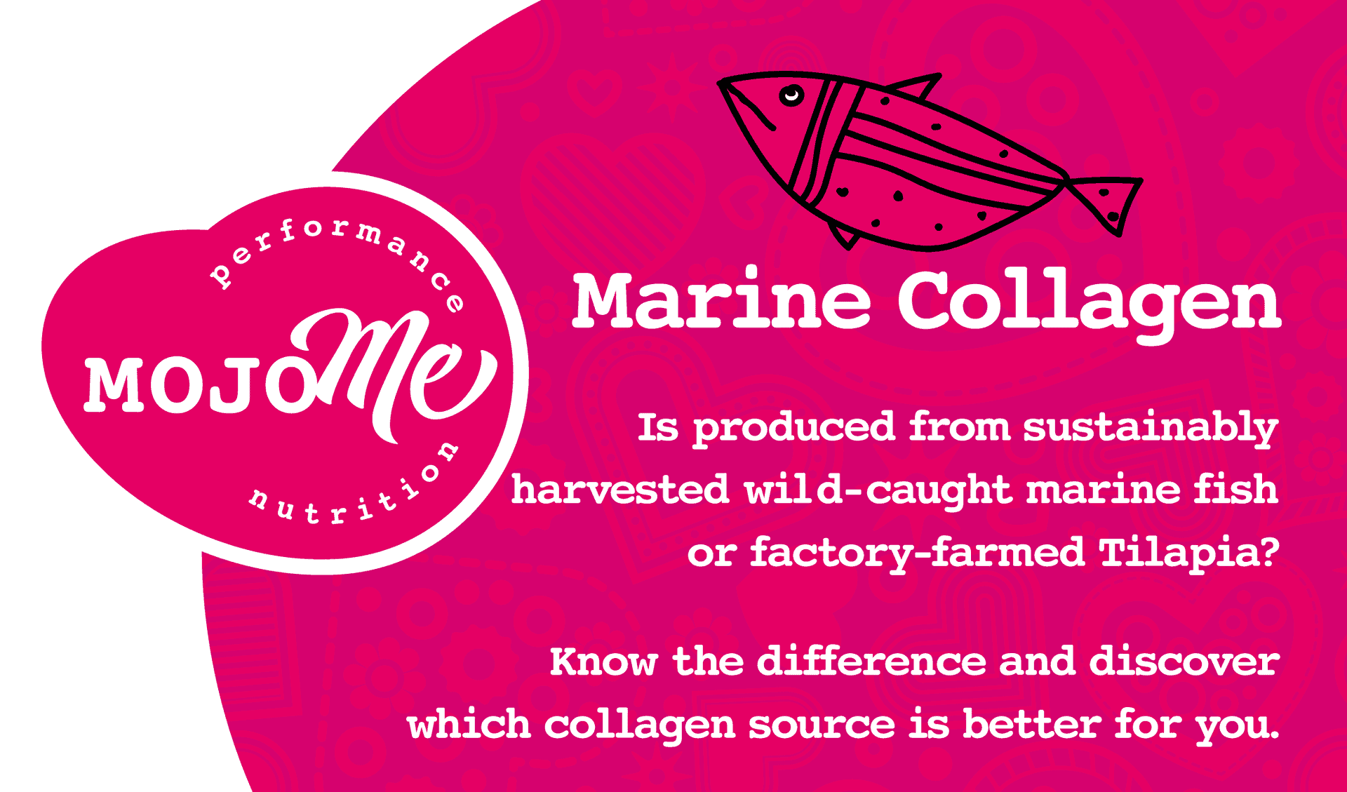 Why Choose Wild-Caught Marine Collagen? 1